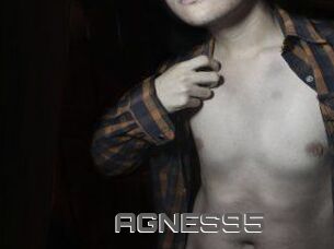 AGNES95