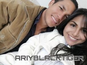 ARIYBLACKTIGER