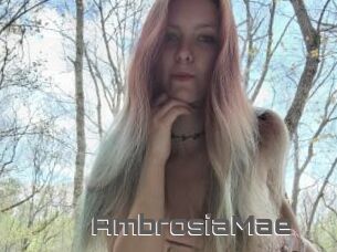 AmbrosiaMae