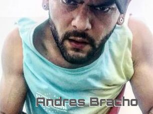 Andres_Bracho