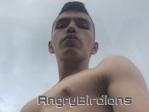 AngryBirdions