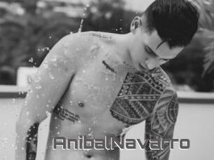AnibalNavarro