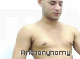 Anthonyhorny