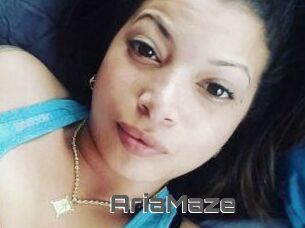 Aria_Maze