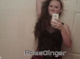 AriesGinger