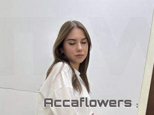 Accaflowers