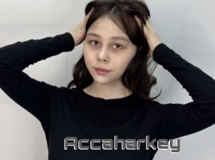 Accaharkey