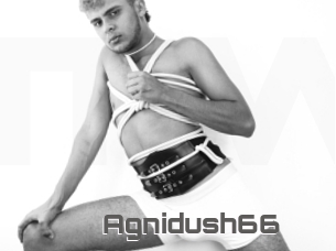 Agnidush66