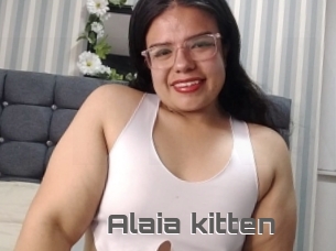 Alaia_kitten