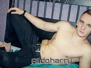 Aldoharry
