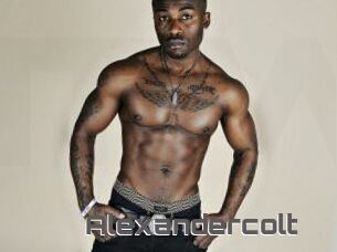 Alexandercolt