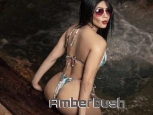 Amberbush