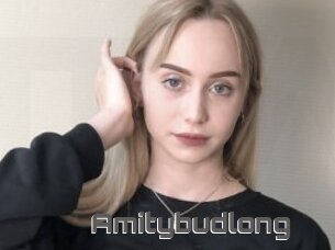 Amitybudlong