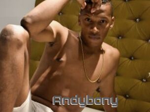Andybony
