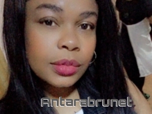 Antarabrunet