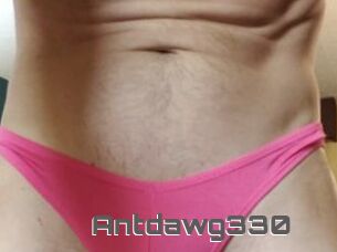 Antdawg330