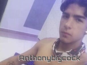 Anthonybigcock