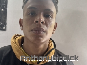 Anthonybigdick