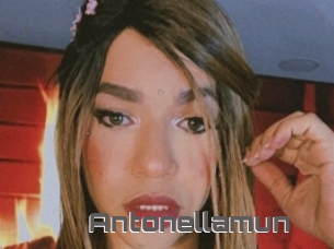 Antonellamun