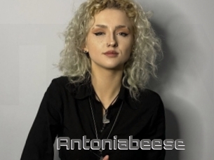 Antoniabeese