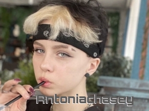 Antoniachasey