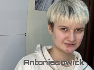 Antoniacowick