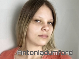 Antoniadumford