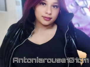 Antoniarouse101cm