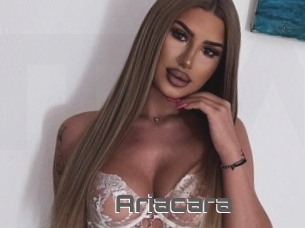 Ariacara