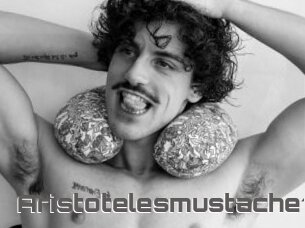 Aristotelesmustache18