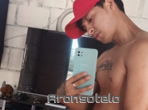 Aronsotelo