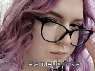Ashleybarks
