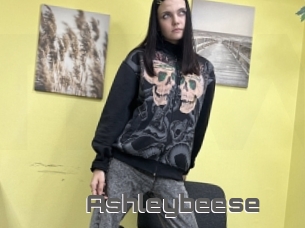 Ashleybeese