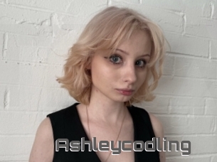Ashleycodling