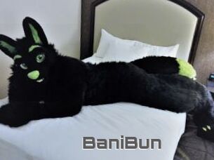 BaniBun