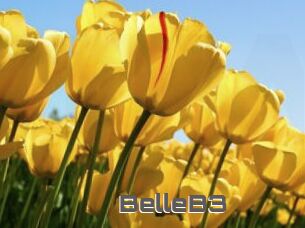 BelleB3