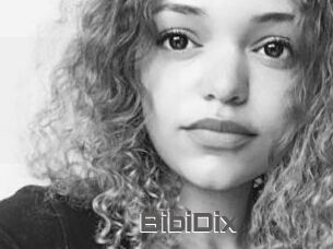 BibiDix