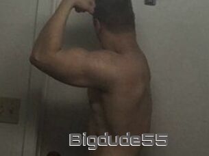 Bigdude55