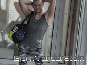 BjornVanderStein