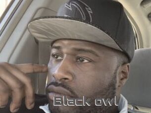 Black_owl