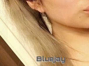 Blue_jay