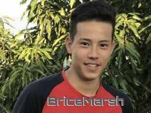 BriceMarsh