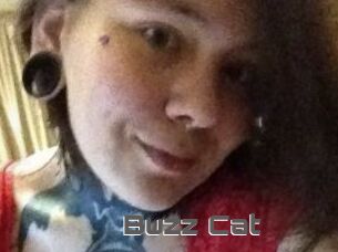 Buzz_Cat