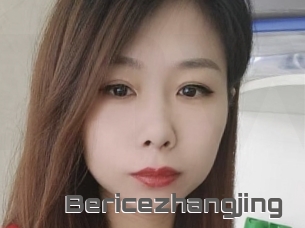 Bericezhangjing