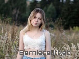 Berniecelittleb