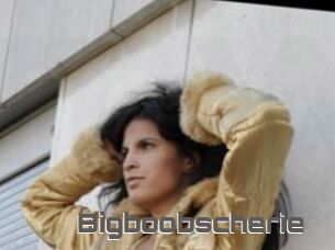 Bigboobscherie