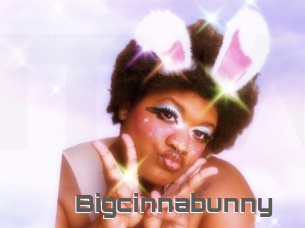 Bigcinnabunny