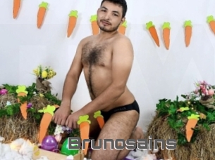 Brunosains