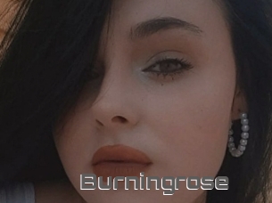 Burningrose