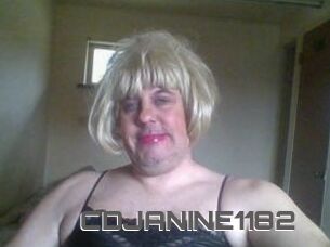 CDJANINE1182